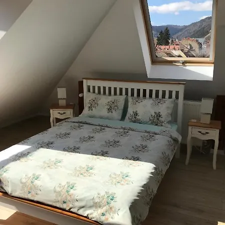 Kronsoul Guest house Brasov