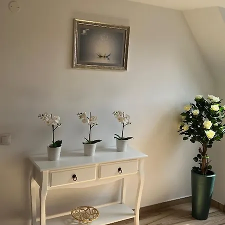 Kronsoul Guest house Brasov