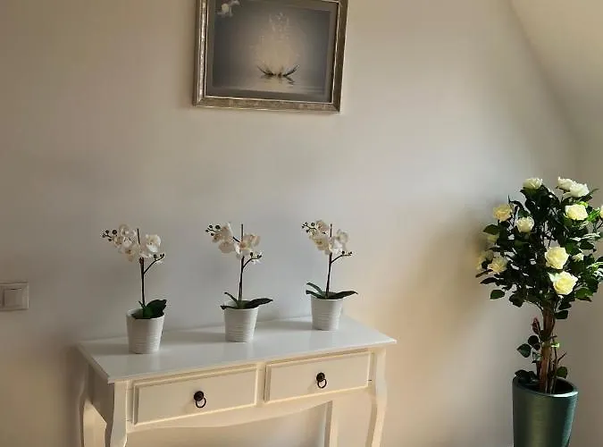 Kronsoul Pensiune Brașov